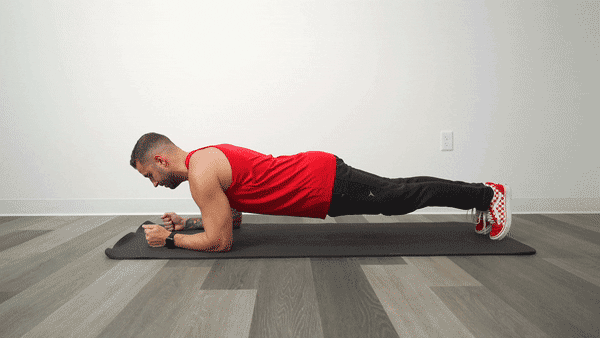 Zelden masker Systematisch 7 Hardcore Plank Exercises to Build Core Strength – 1 Up Nutrition