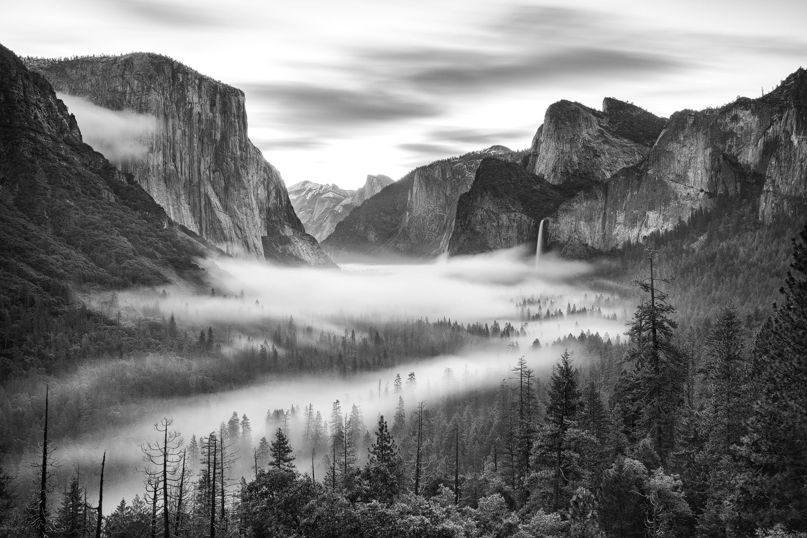 Foto Gheorghe Popa - Yosemite Valley, California U.S.A.