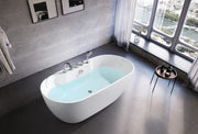 Free Standing Bathtub with Faucet