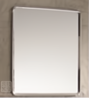 Tora Stainless Steel Frame Mirror L600 x H800mm