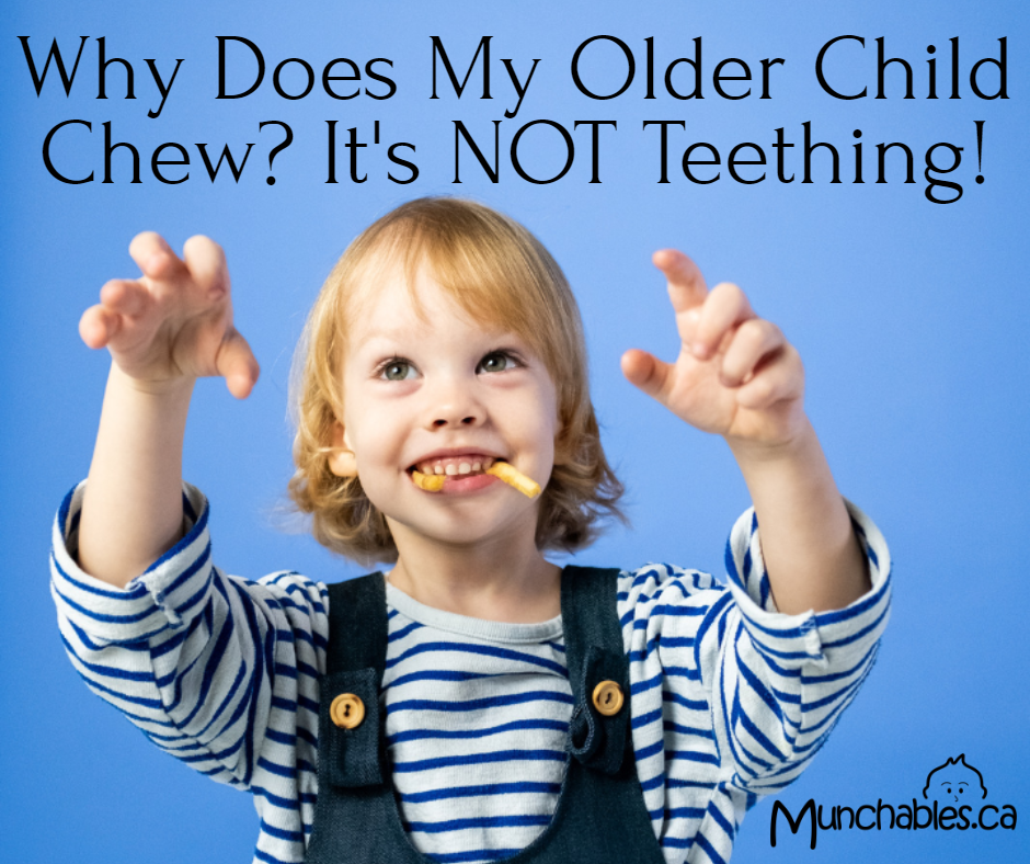 Why Does My Older Child Chew? It's NOT Teething! Munchables