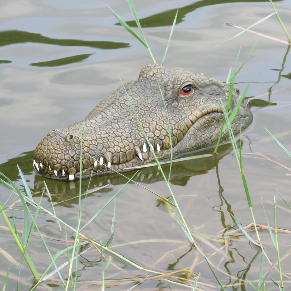 remote control alligator head boat for sale