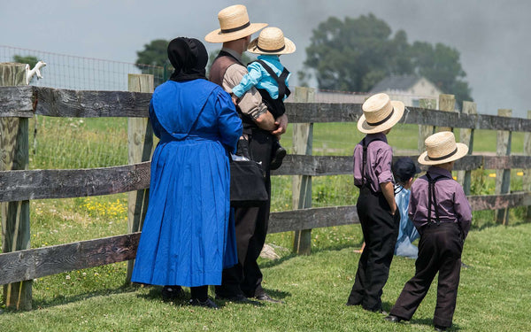amish pacifiste