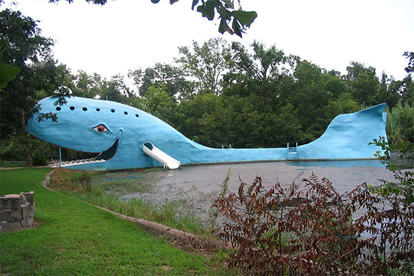 baleine bleue de Catoosa