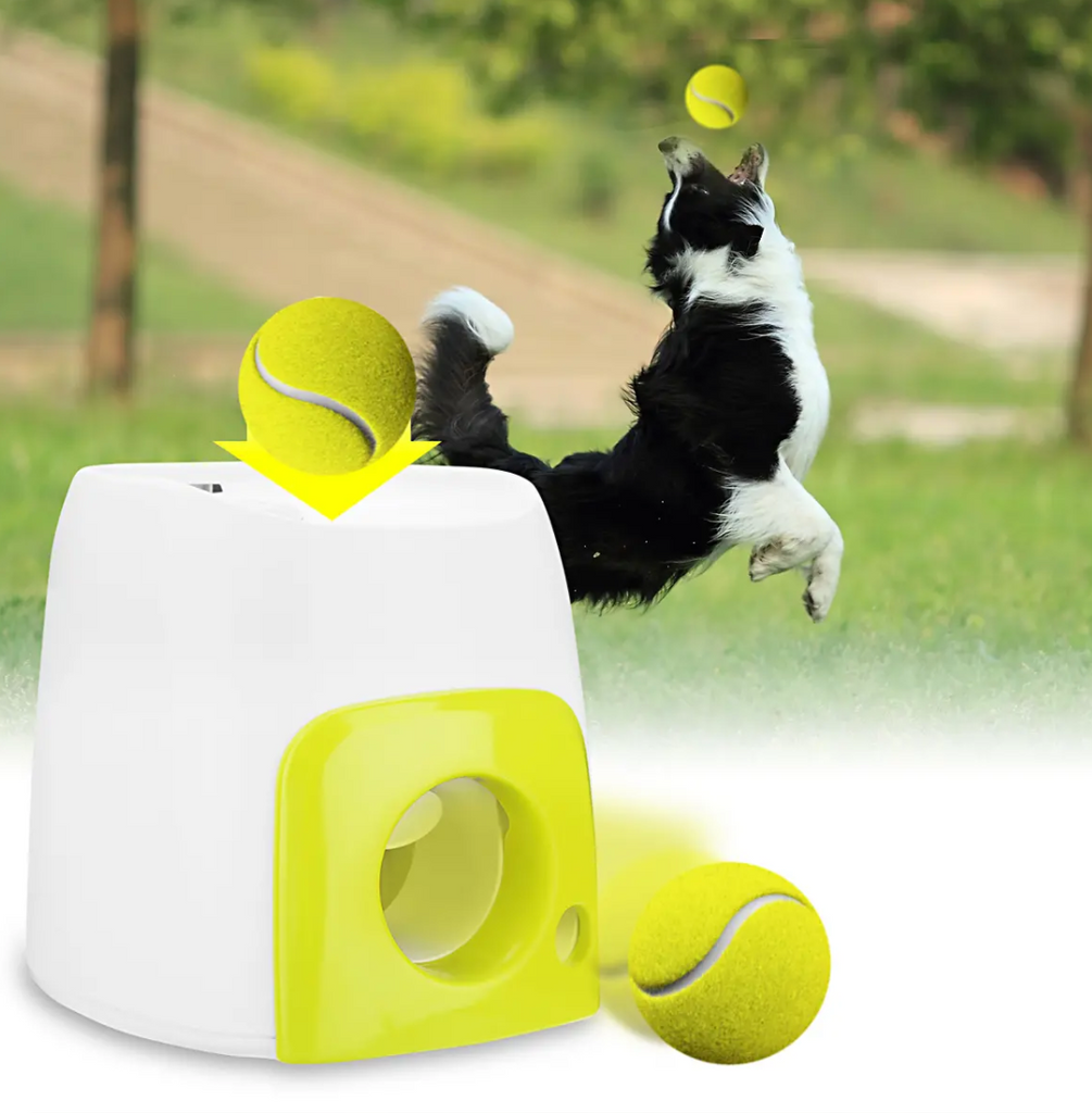 best automatic dog ball thrower