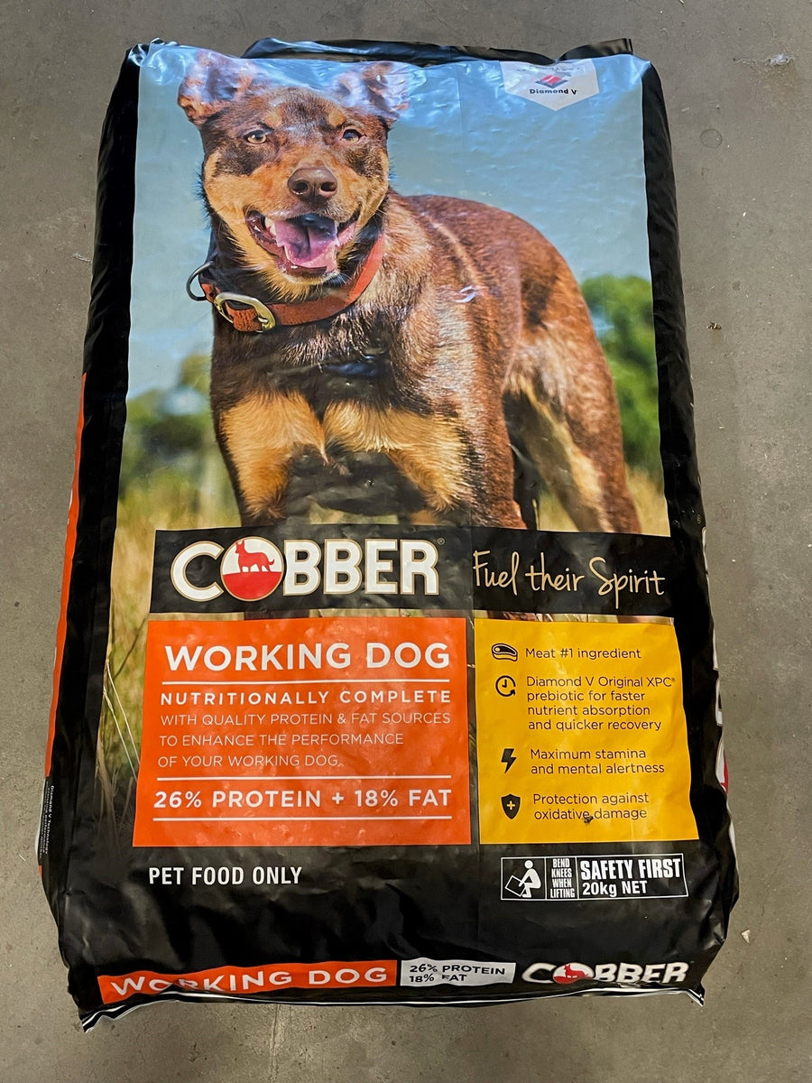 cobber working dog 20kg