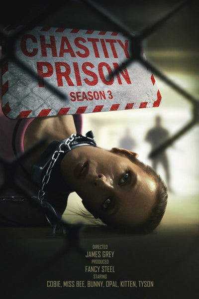 Chastity Prison - Season 3 - All Access Pass – Fancy Steel