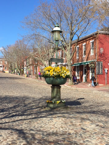 Main Street Fountain Nantucket