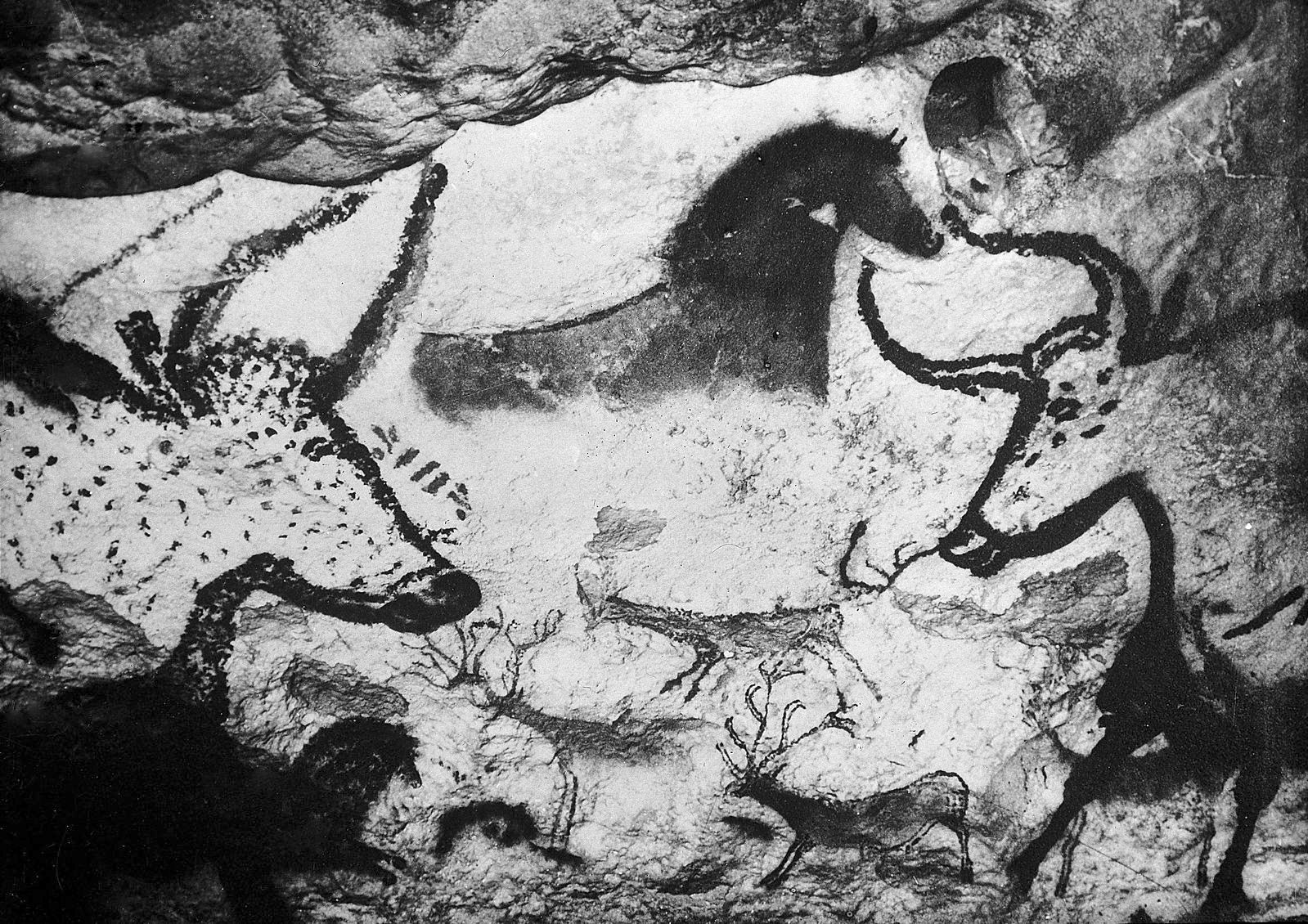 Cervidos pintados en cuevas de Lascaux de Francia. Colección pública de Wellcome Collection