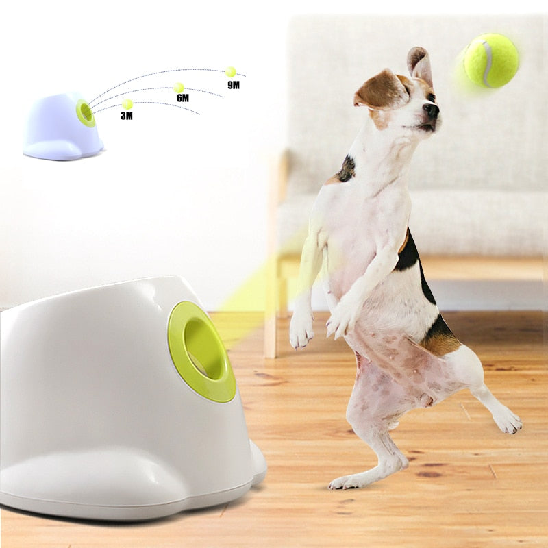 B-Launch Automatic Adjustable Tennis Ball Launcher Toy for Dogs – Purring  Puppy