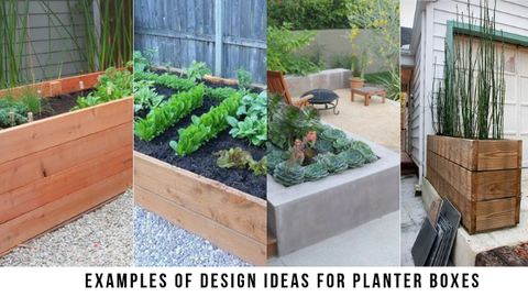 DIY Planter Box Ideas