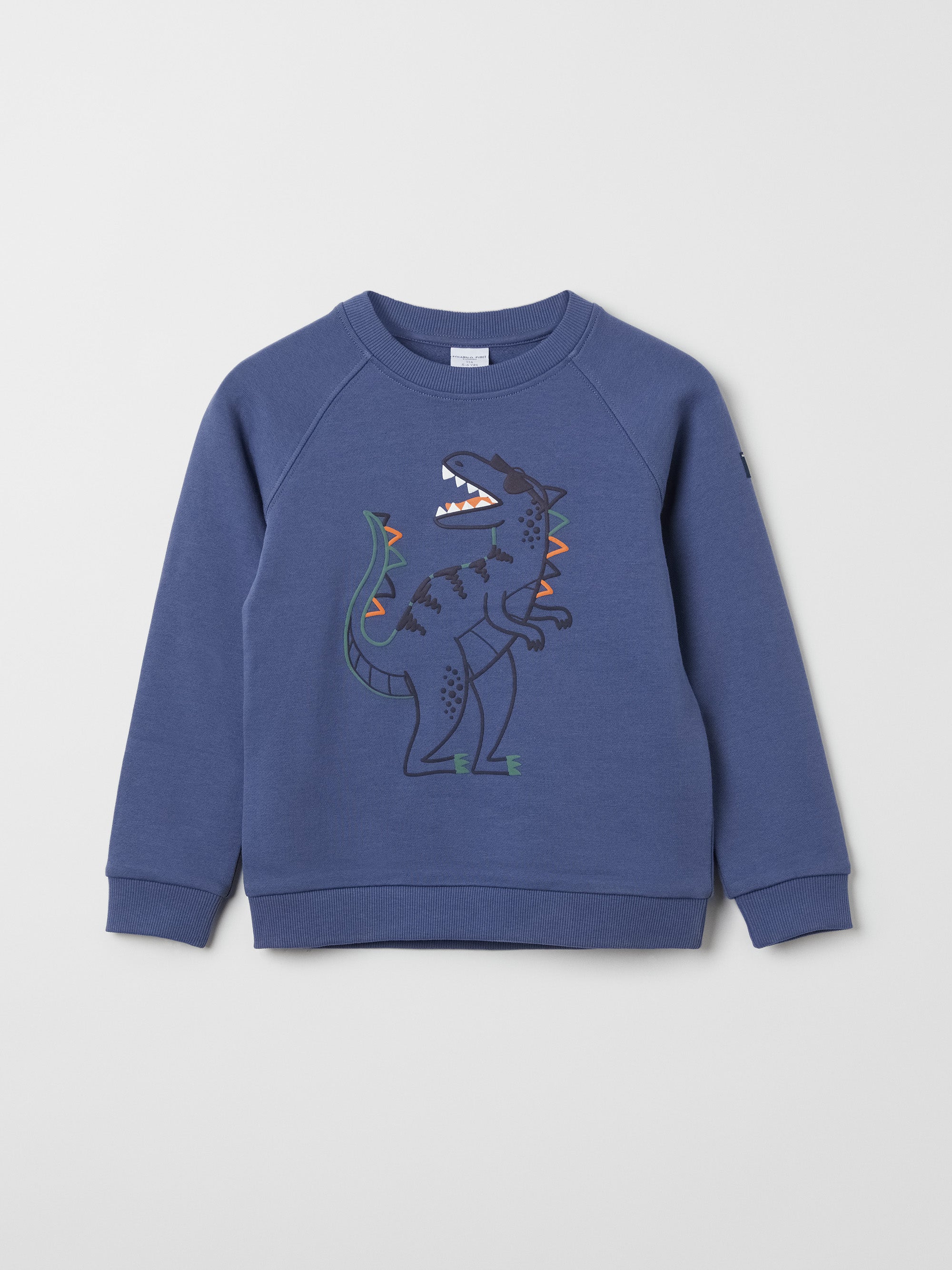 Dinosaur Print Kids Sweatshirt