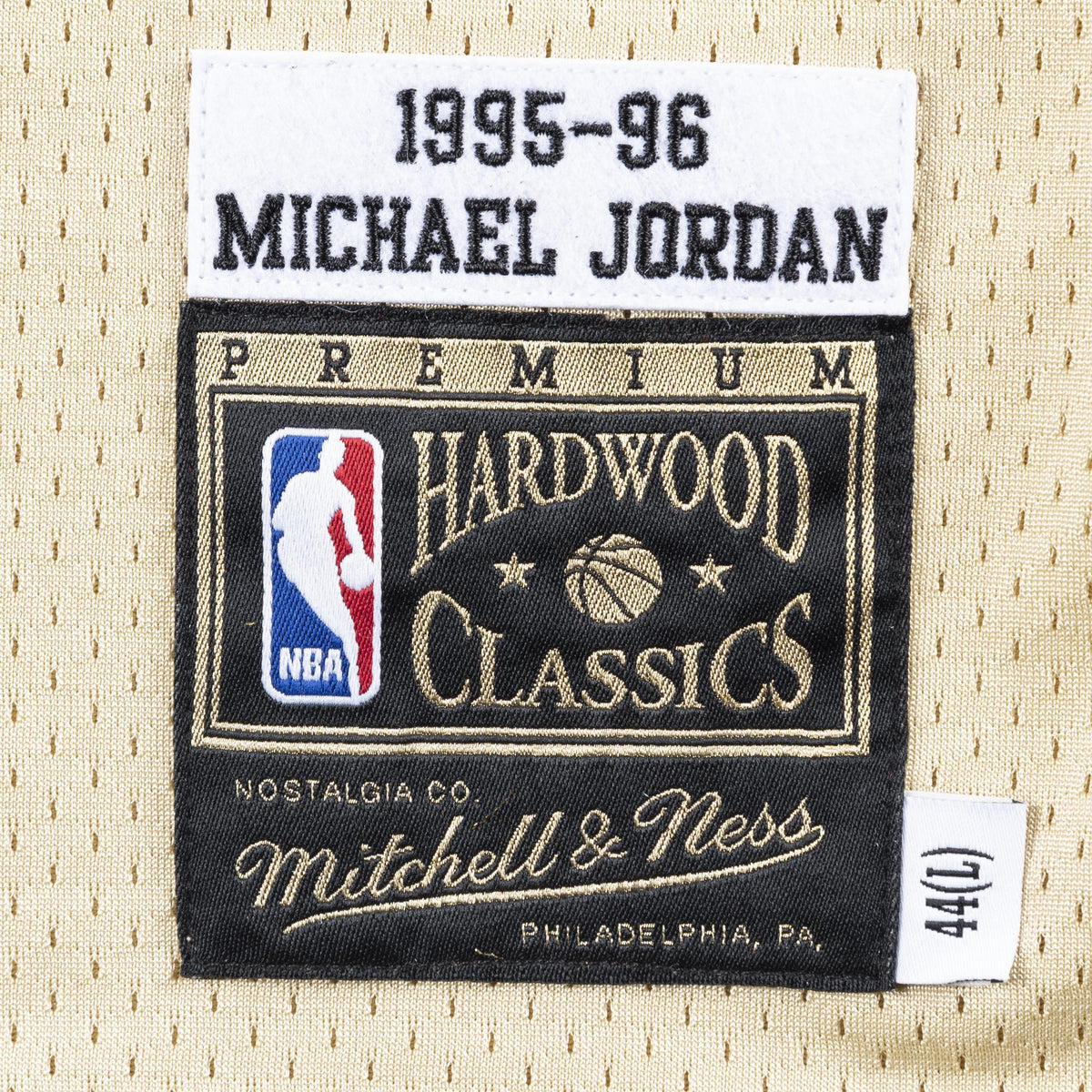 Men's Mitchell & Ness Michael Jordan Blue Chicago Bulls 1995-96