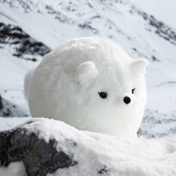 fluffy baby fox