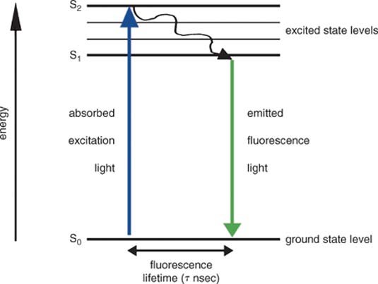 fluorescence absorption diagram