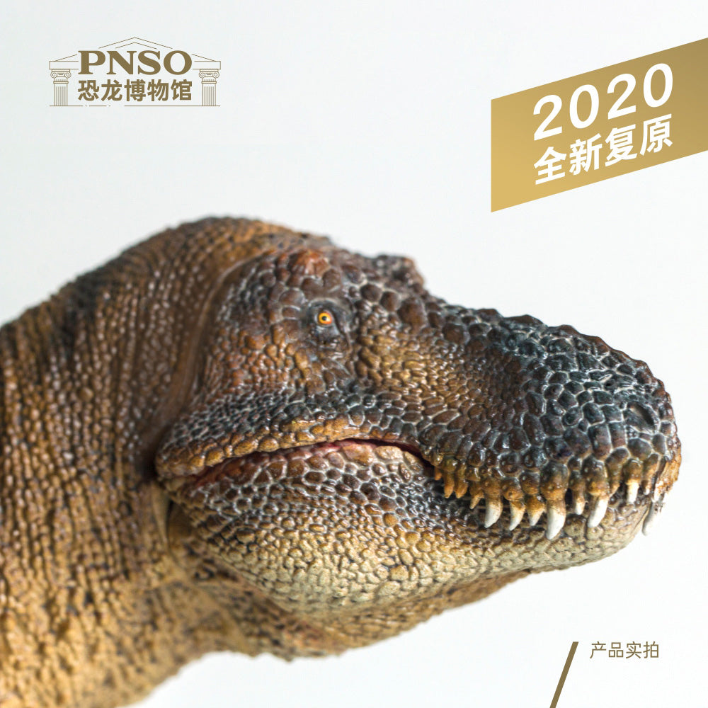 PNSO 1/35 Wilson Tyrannosaurus Rex Figure Dinosaurs Museum Scientific Art Model