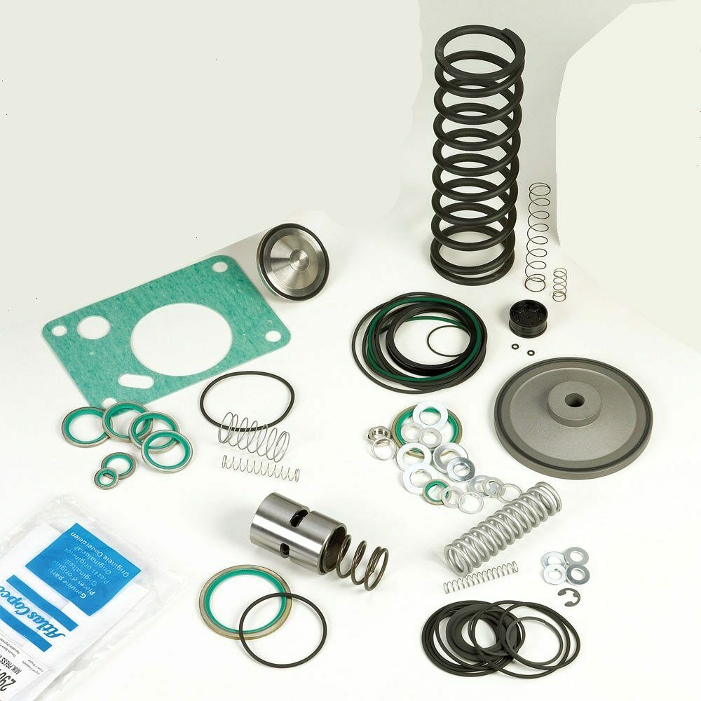 WAVA Spring Spare Parts for Screw Air Compressor Accessories 1616567600