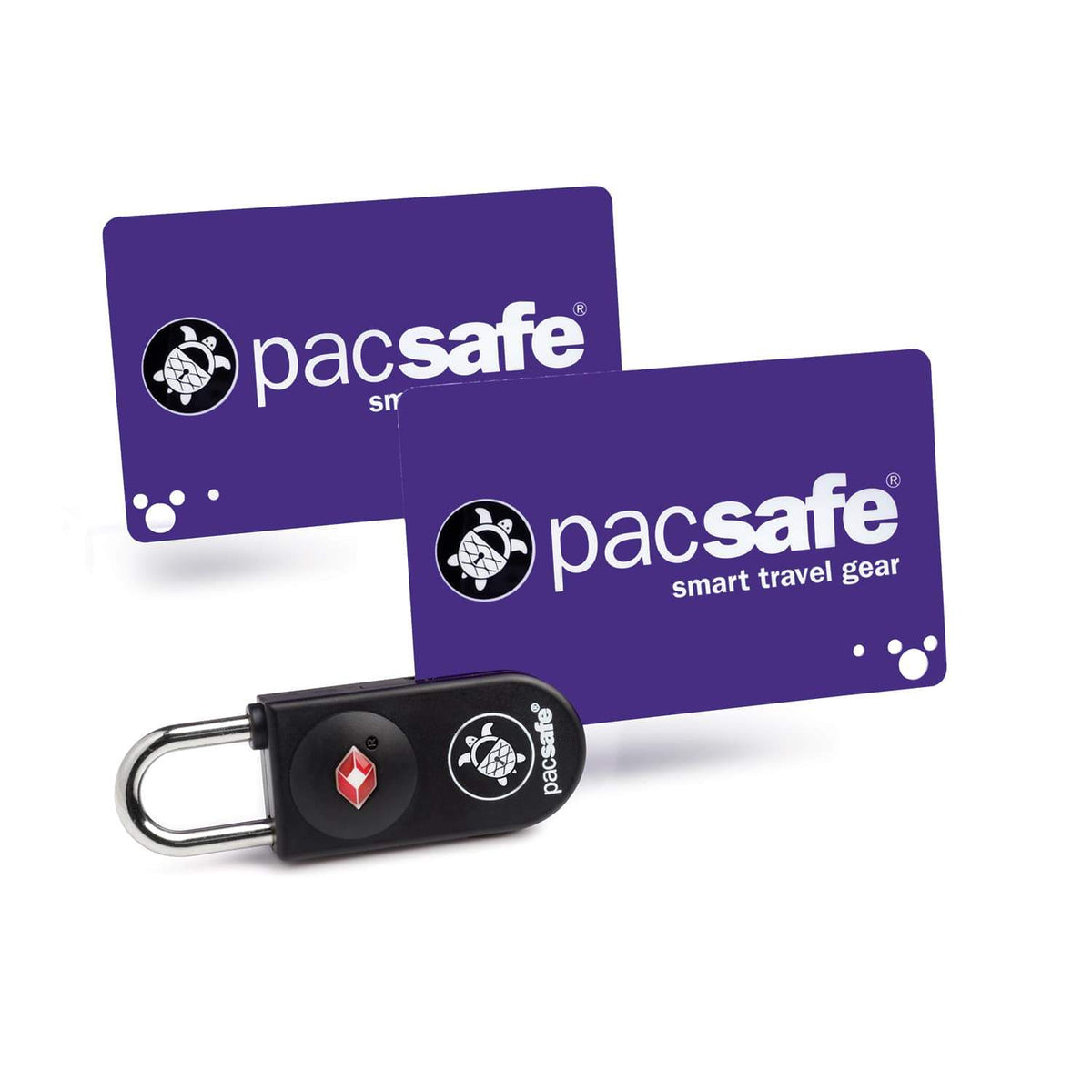 pacsafe smart travel gear