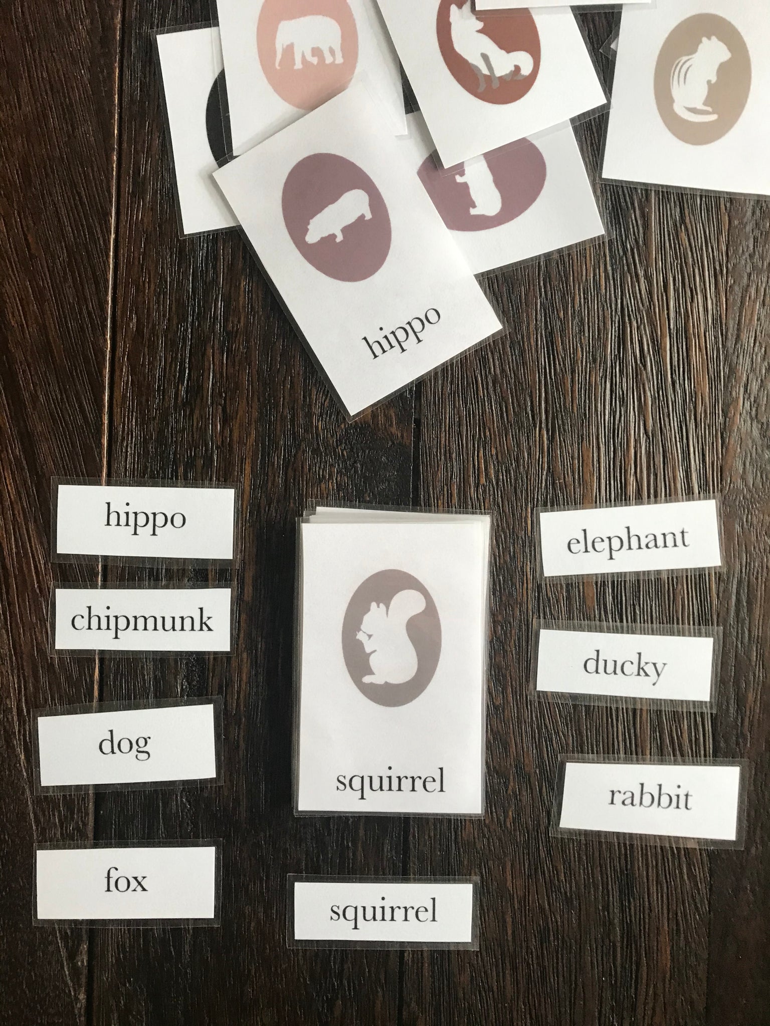 squirrel flashcard word matching game