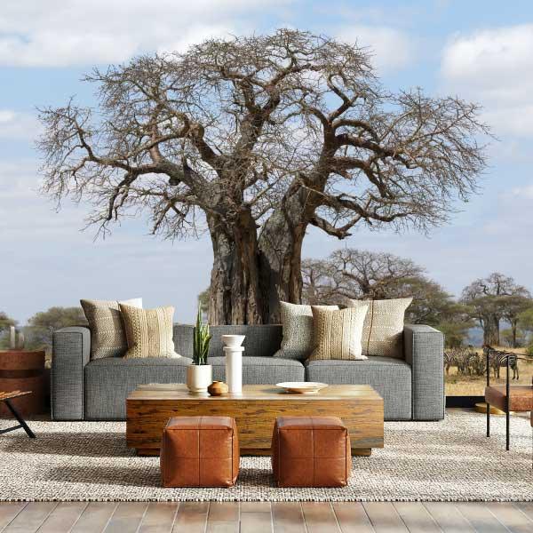 Wallpaper - Baobab Tree – LAPERLE