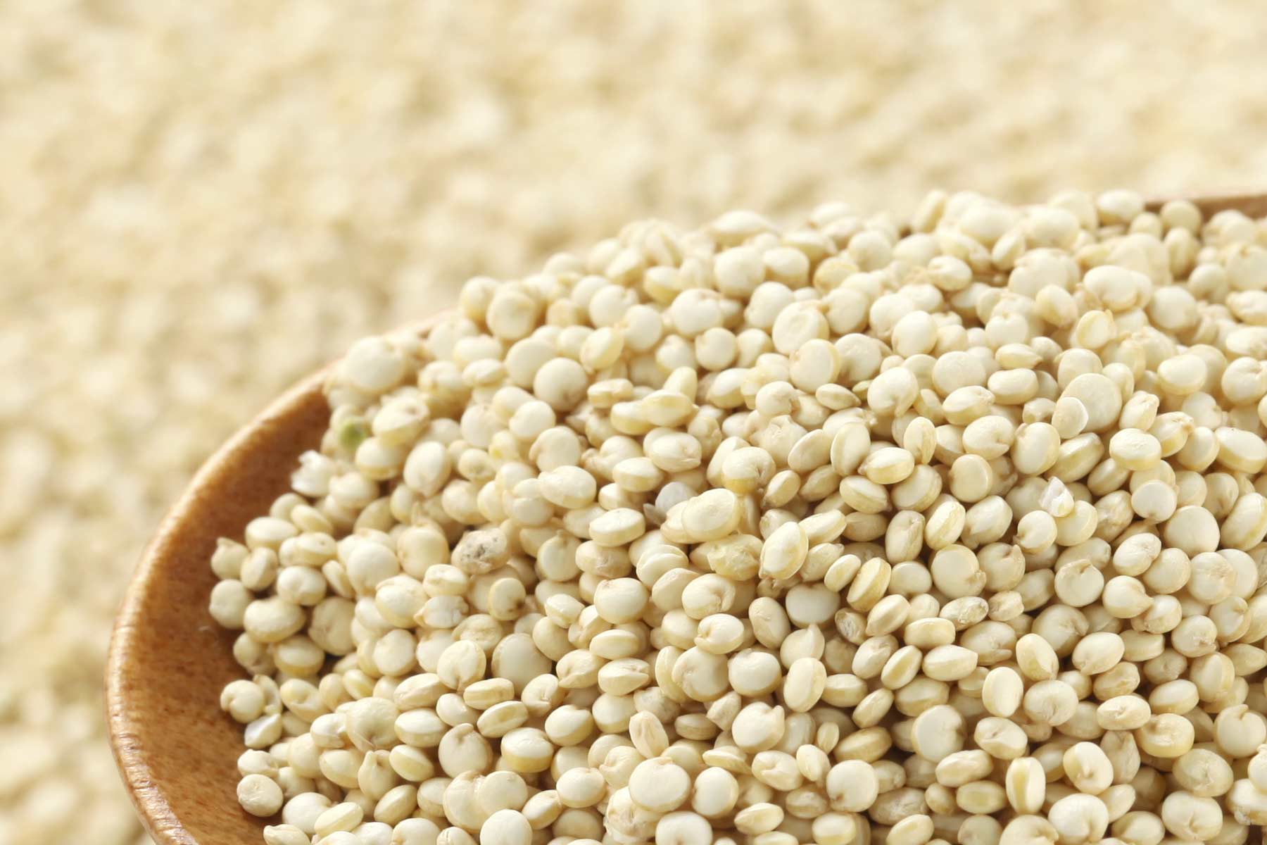 Quinoa Grain