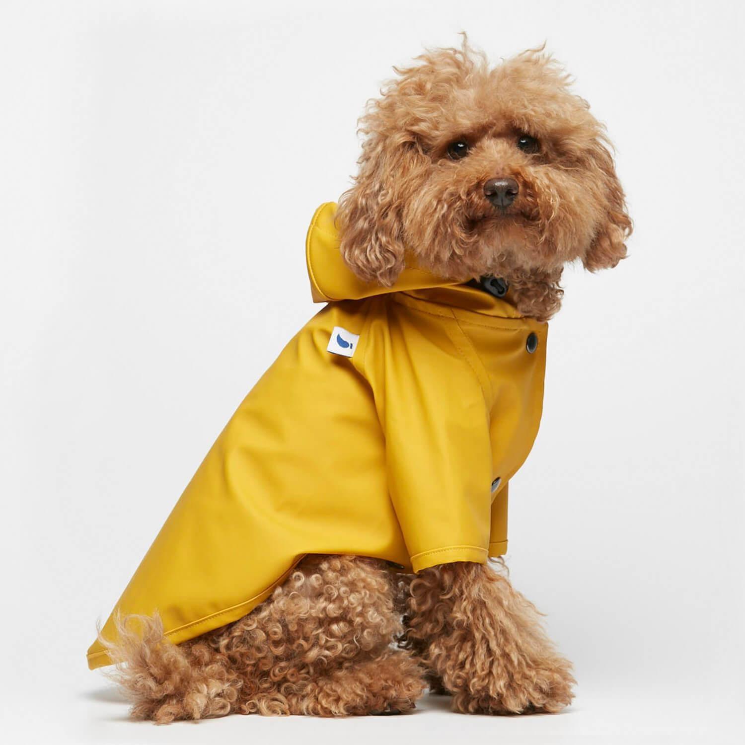 yellow rain slicker for dogs