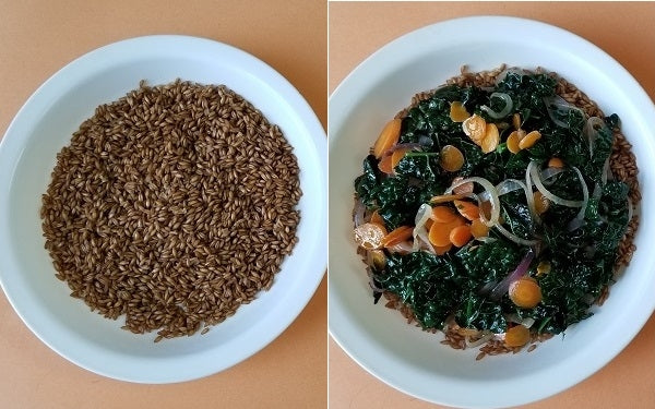 In another pan, cook eggs to desired doneness; sunny side up, over easy or over hard. While the eggs are cooking, start plating. First place a couple of heaping spoons of cooked Farro in a large soup bowl, then cover with the carrot and kale mixture almost to the brim of the bowl. 