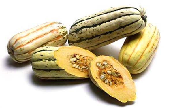 Delicata Squash