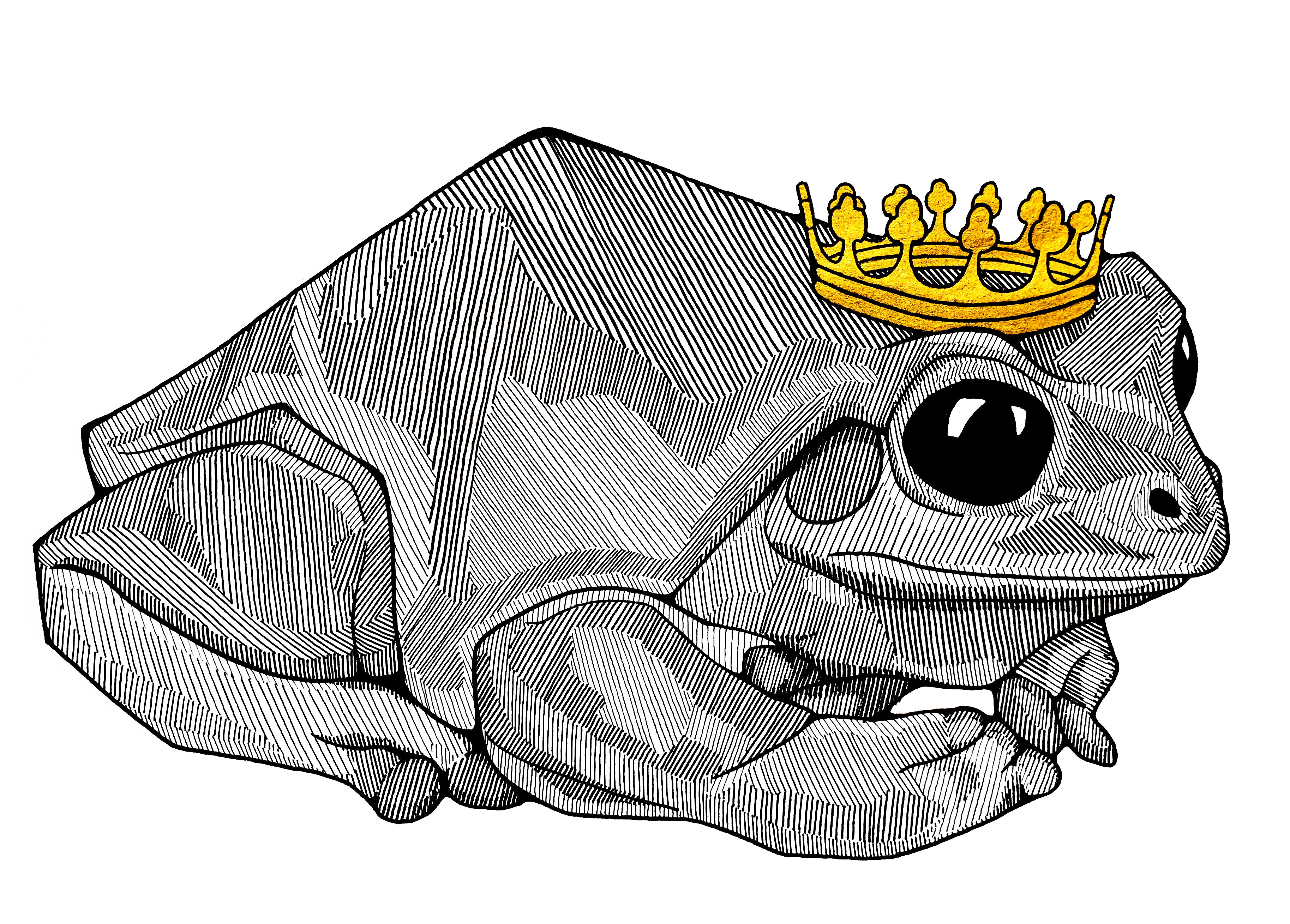 Frog Prince Sticker By Holly Hutchinson K A Artist Shop 5630