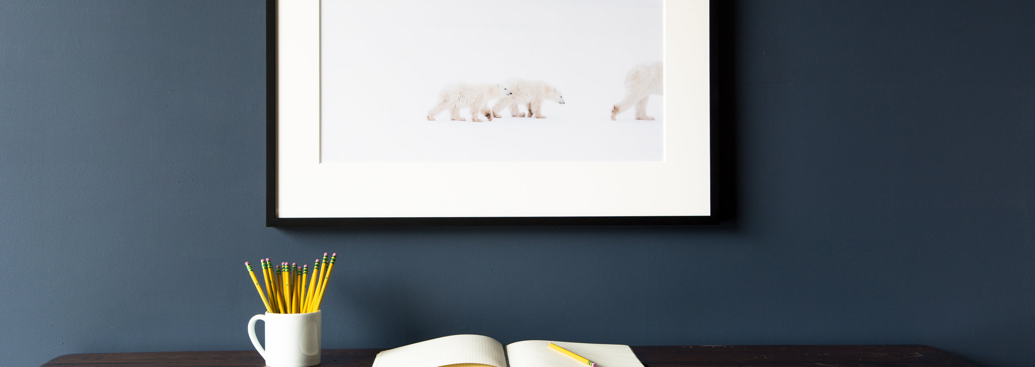 David duChemin arctic polar bears Saw & Mitre project 