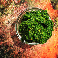 Bush Tucker pesto