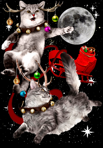 Two grumpy and confused looking cats pull Santa's sleigh across a full moon