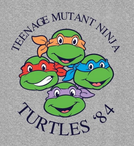 Donatello, Leonardo, Michelangelo, and Raphael smile out at you with "Teenage Mutant Ninja Turtles '84" encircling them
