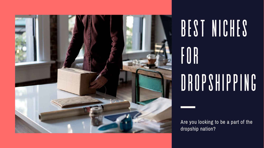 Best Niches For Dropshipping & How to The Best Dropshipping Ideas