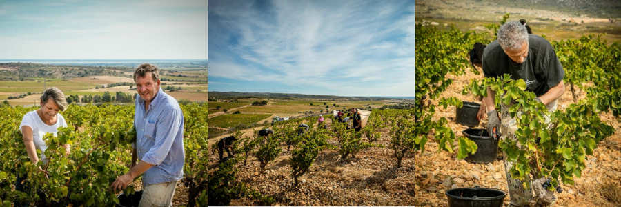 Domaine Boudau - Pierre Hourlier Wines