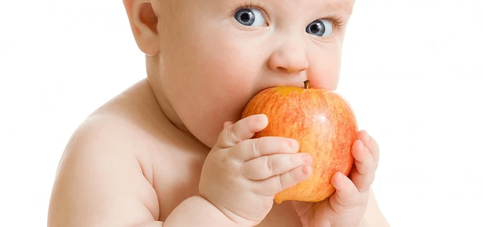 Kan weerstaan troon meest Voedingsschema voor je baby vanaf 8 maanden | Kabrita Nederland