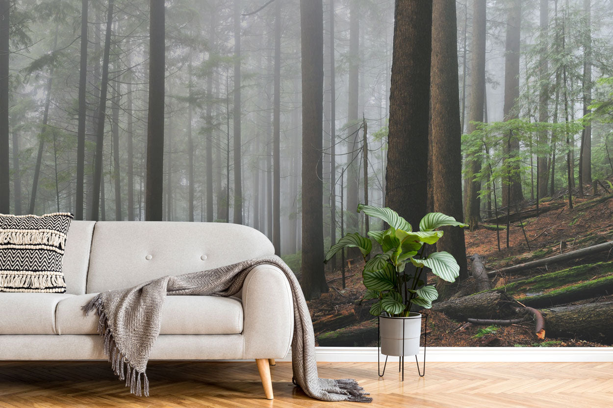 FOGGY FOREST & HIKING TRAIL WALL MURAL