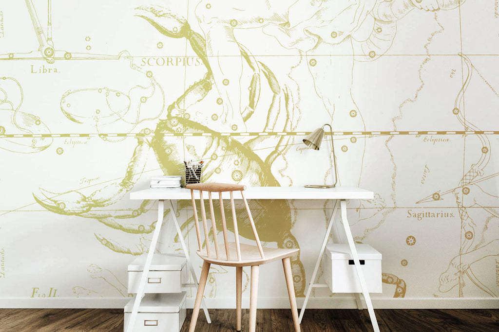 Zodiac astrology sign  scorpio wallpaper and wall mural