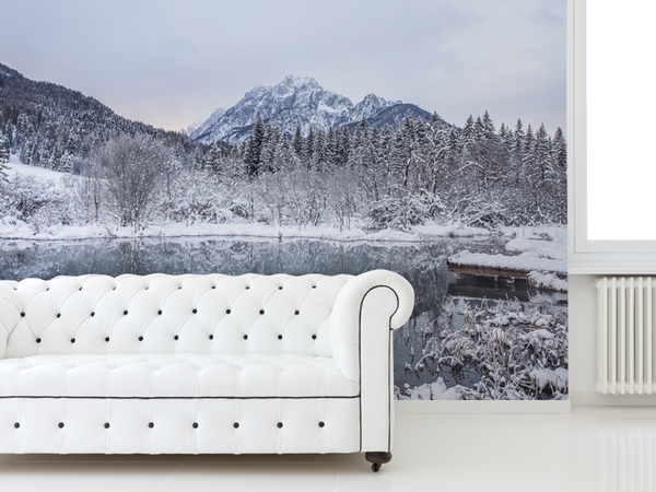 Winter Landscape in Slovenia Wall Mural 