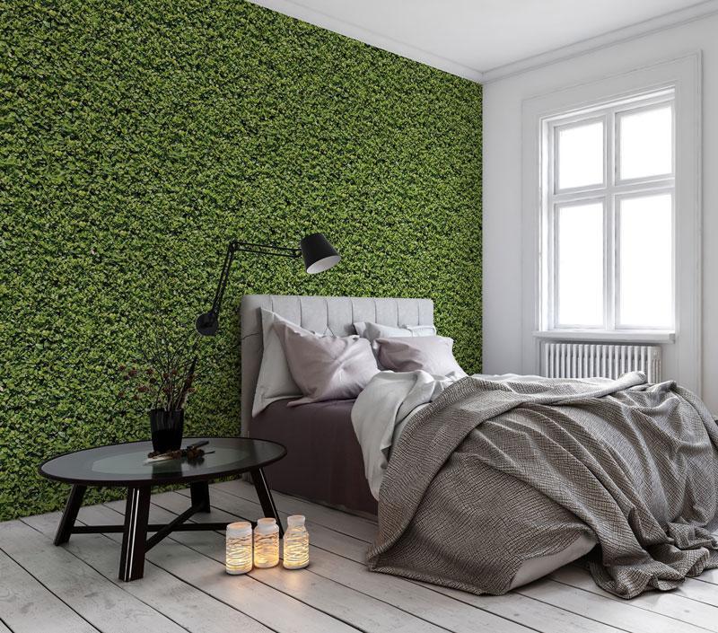 Evergreen Removable Wallpaper