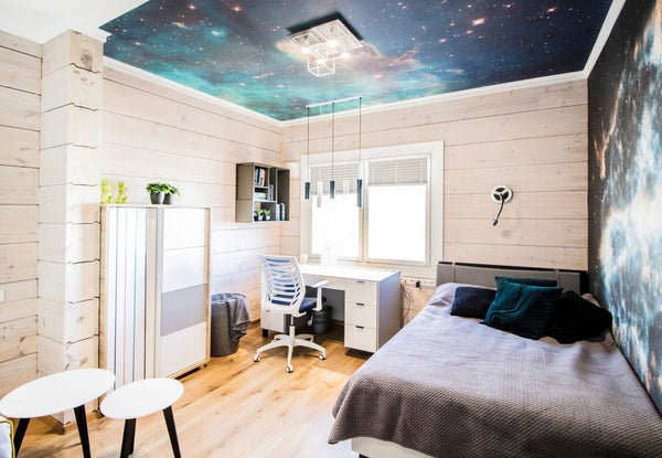 houzz ceiling and wall mural wallpaper space 