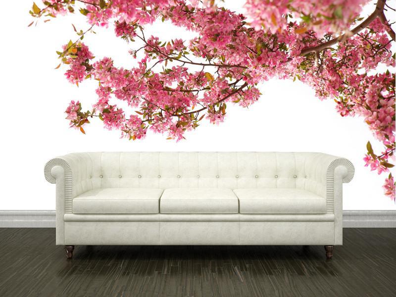 Cherry blossom in spring Wall Mural | Eazywallz