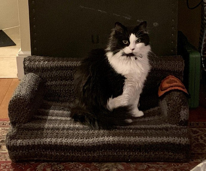 People Are Crocheting Tiny Couches For Their Cats, And The Results Are Adorable