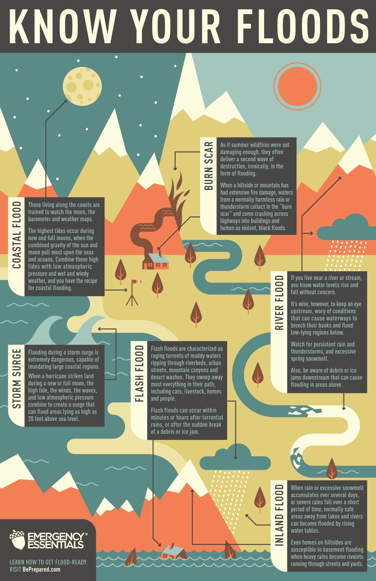 infographic elements torrents