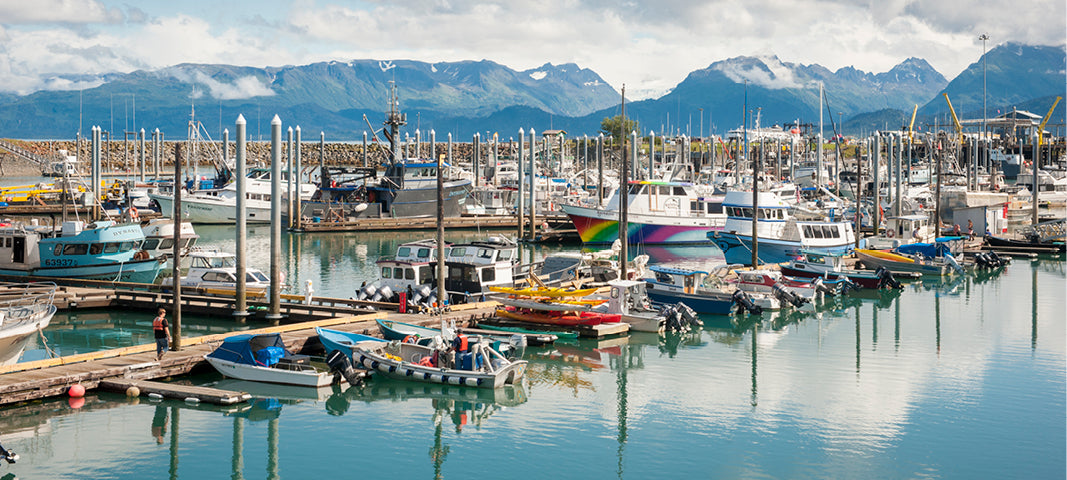 Harbor in Homer Alaska