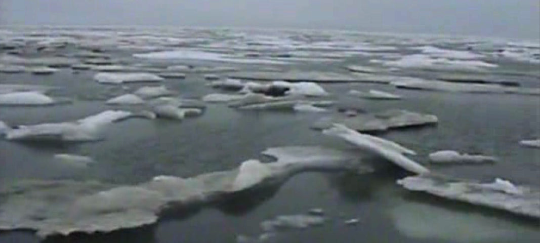 Arctic Ice Flow
