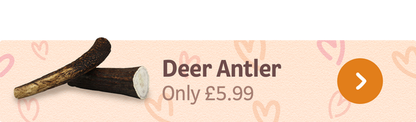 Deer Antler Only £5.99