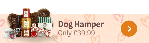 Dog Hamper Only £39.99