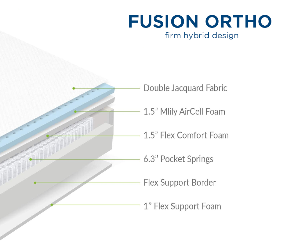 mlily fusion ortho