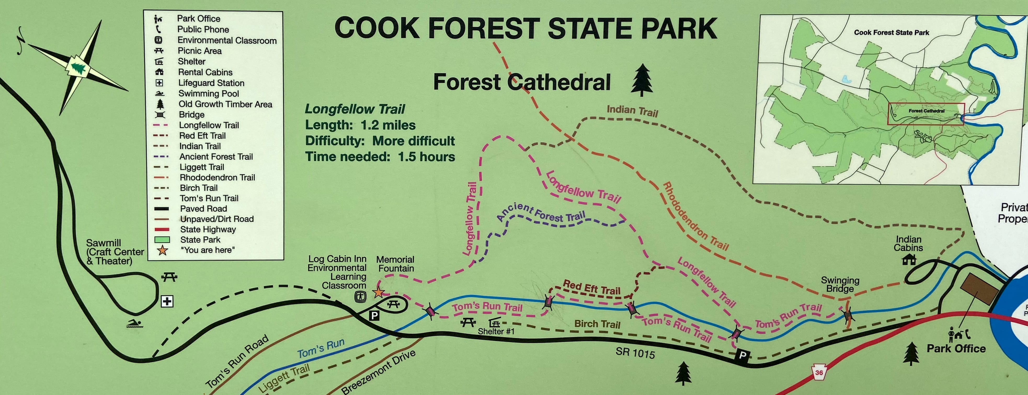 Forest Cathedral Trails– Cook Forest State Park 